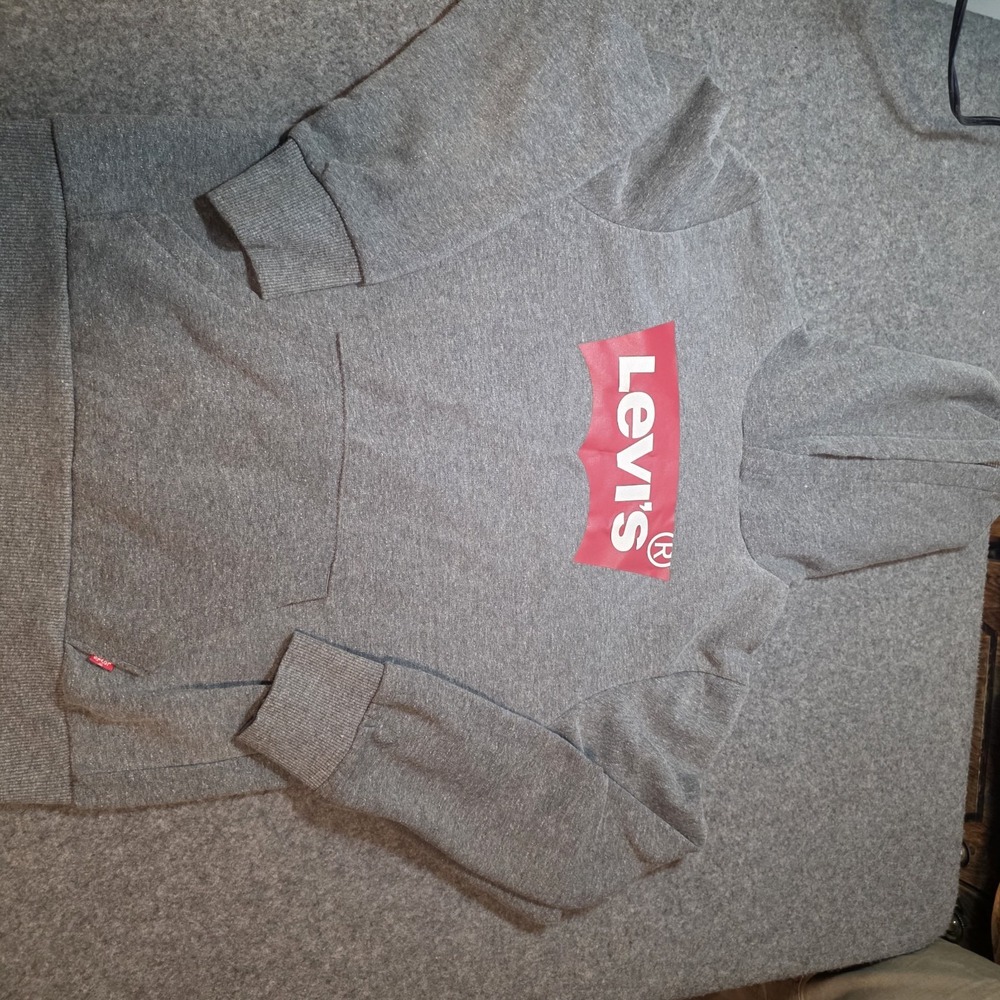 gray Levi's pullover hoodie Boys Large (12-13yrs) C2